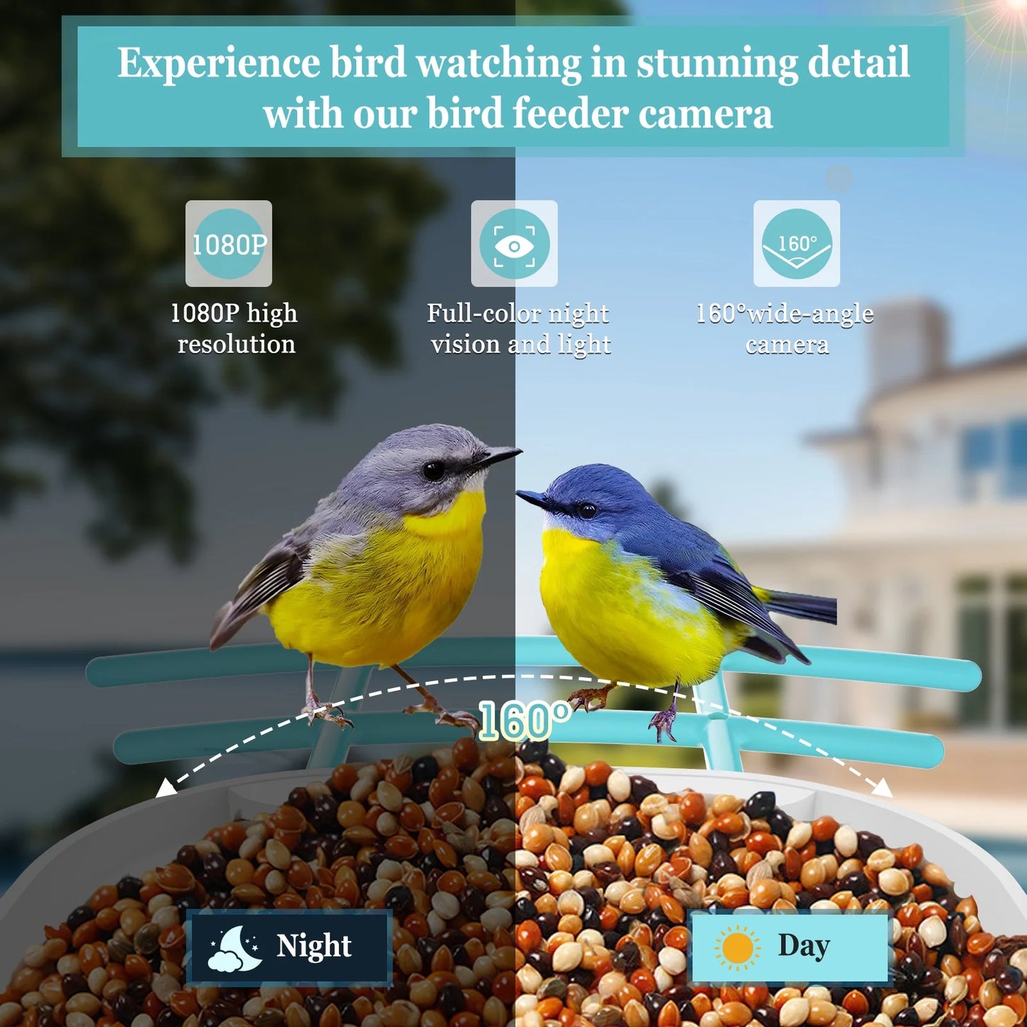 Furmate™ Smart Bird Feeder With Cam